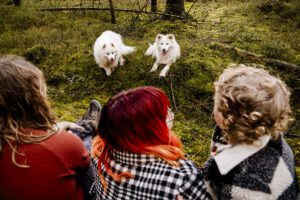 Afbeelding zonder ALT