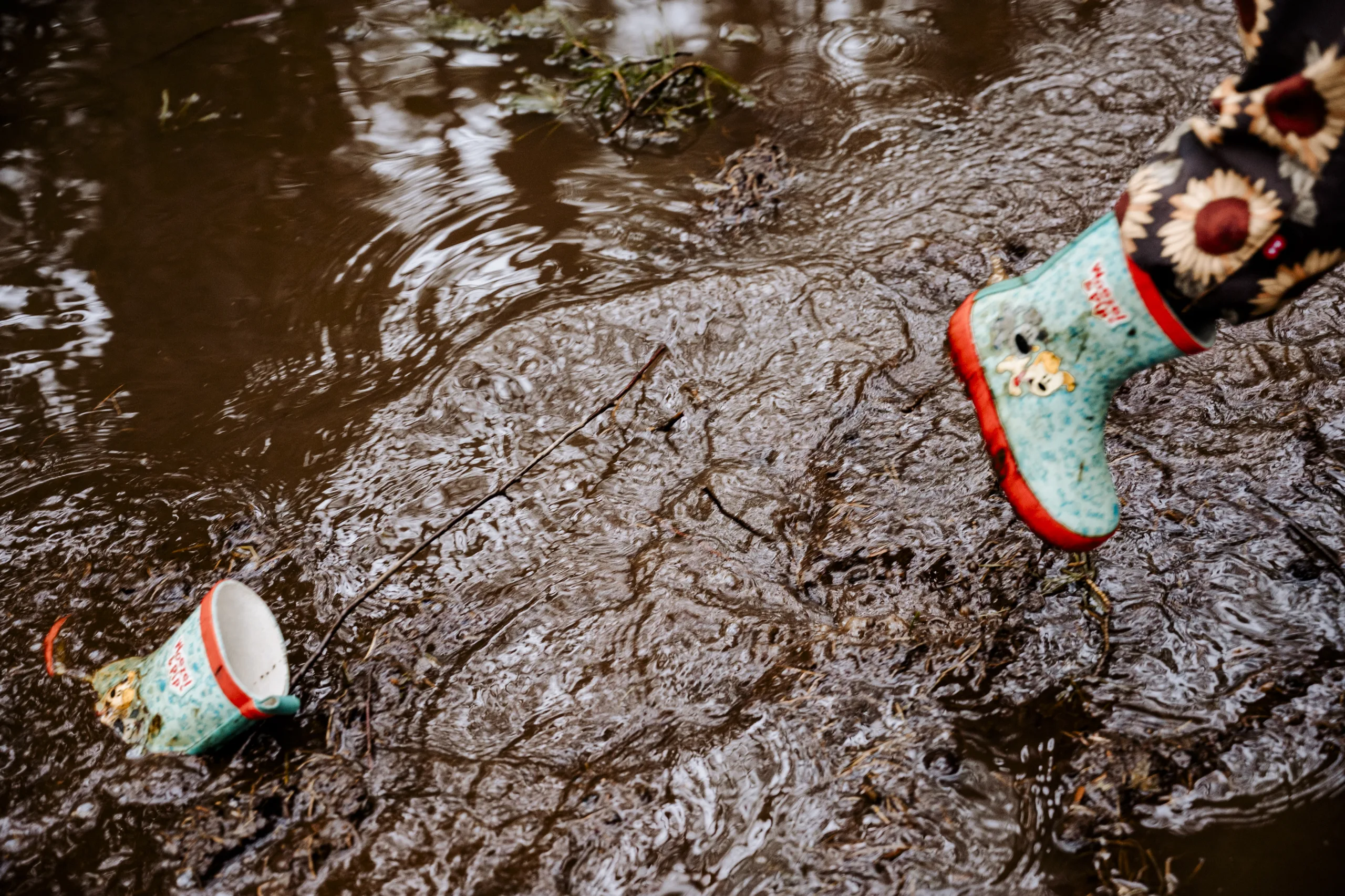 fotoshoot groningen day in the life herfstfoto's in het bos