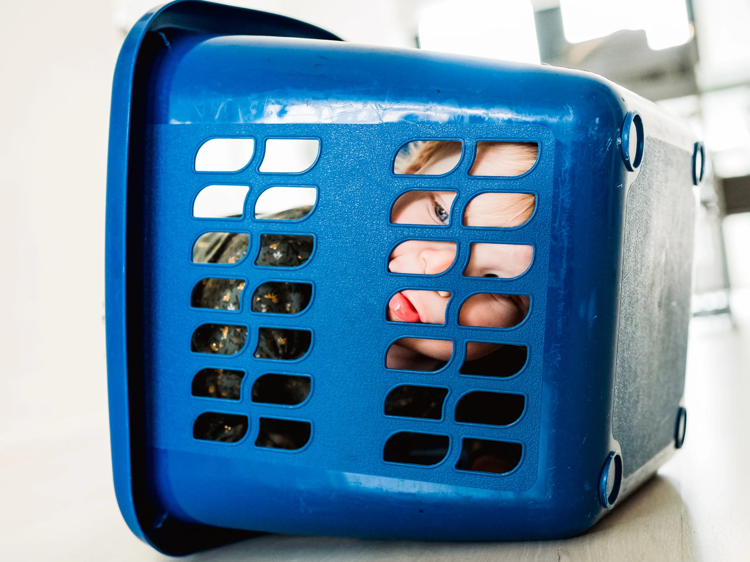 gezinsshoot groningen wasmand