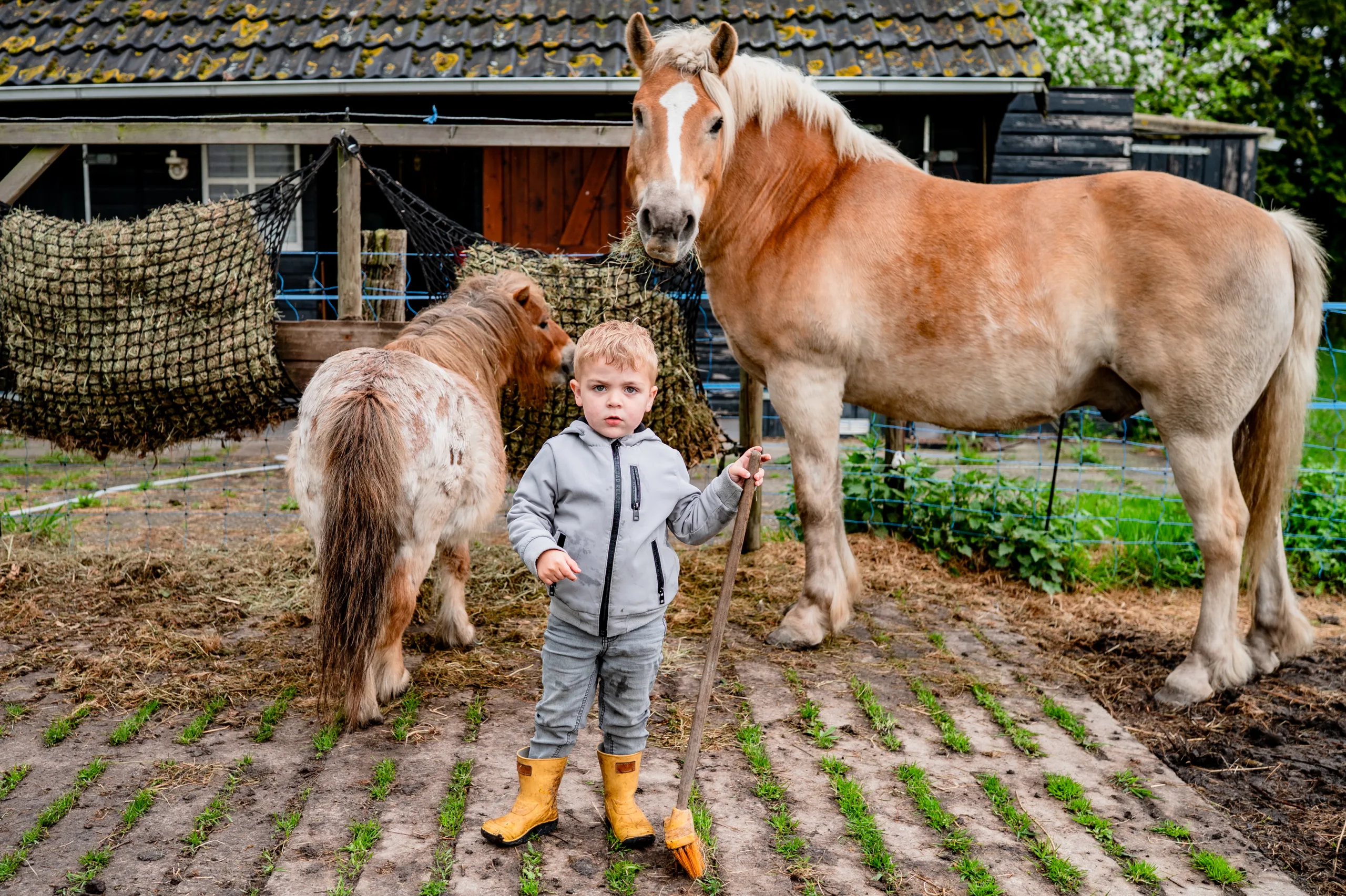 fotoshoot groningen day in the life op stal bij de paarden
